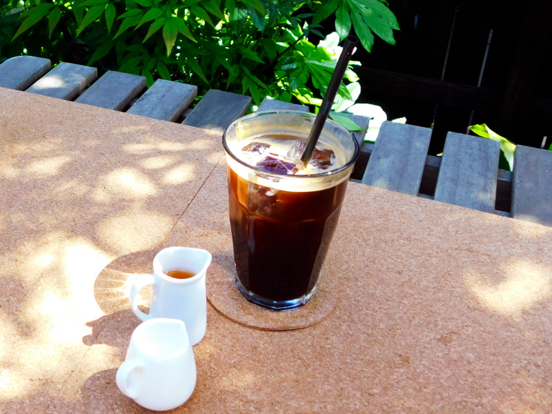 コーヒーの木