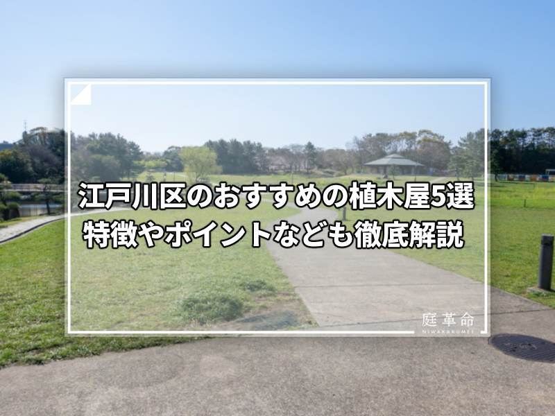 江戸川区のおすすめの植木屋5選 特徴やポイントなども徹底解説 庭革命株式会社