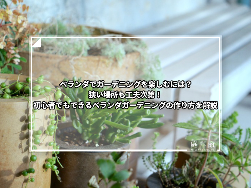 レッドロビンの剪定方法 生垣作り方や育て方のコツも解説 庭革命株式会社