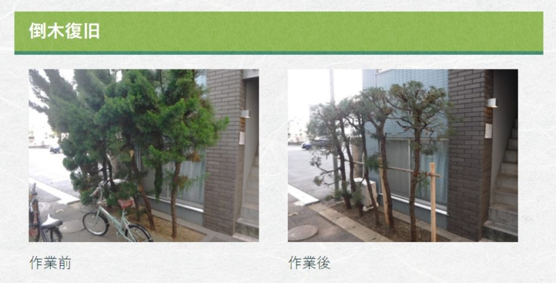 倒木復旧の施工事例