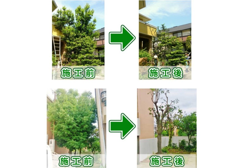 剪定の施工事例