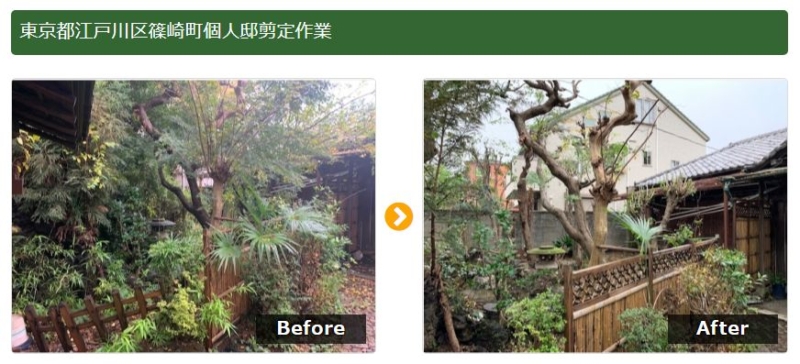 個人邸剪定作業