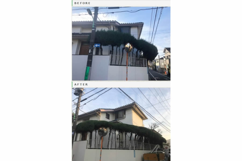 生垣の刈り込み
