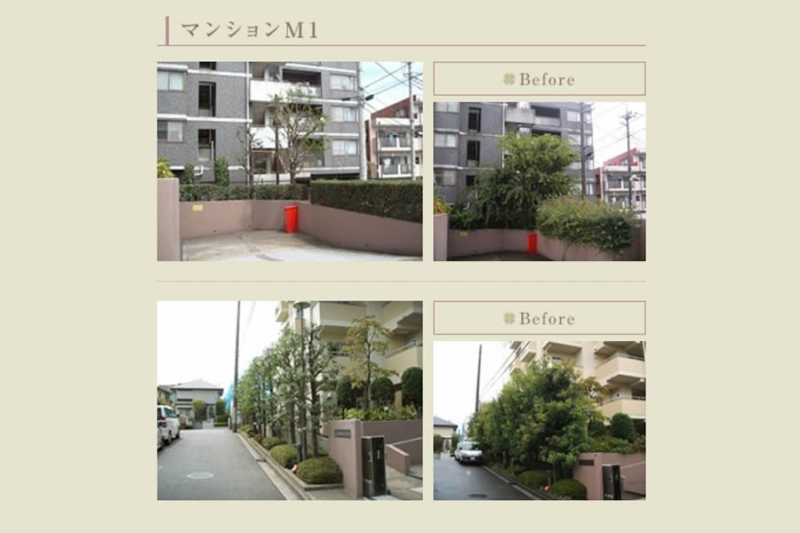マンションの剪定