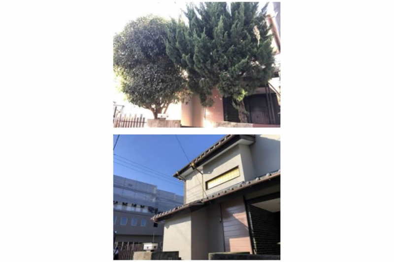 伐採の施工事例
