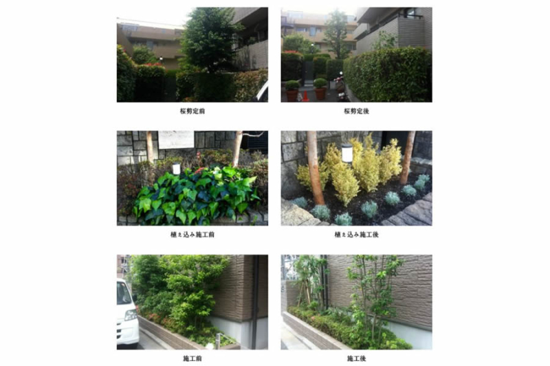 お庭の施工事例