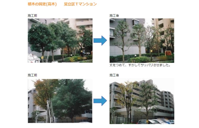 植木の剪定(高木)