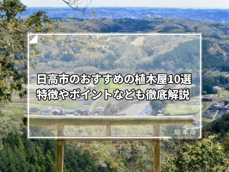日高市・日和田山
