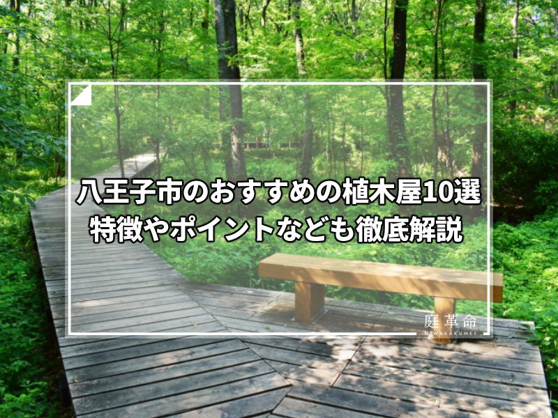 八王子市・小宮公園の森林遊歩道
