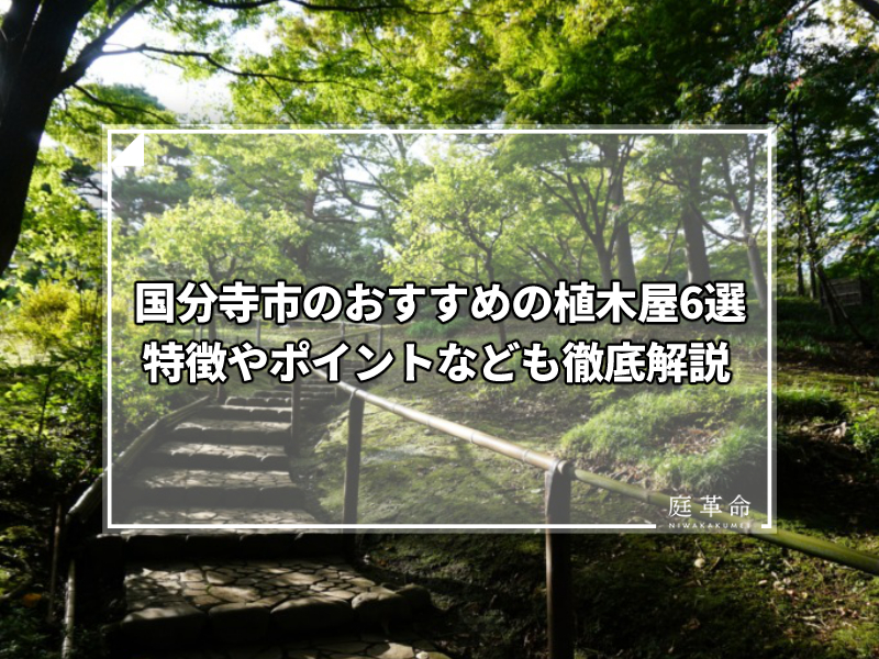 国分寺市・殿ヶ谷戸庭園の緑