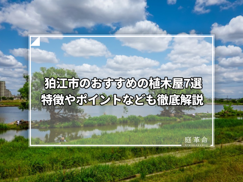 狛江市・多摩川稲田公園