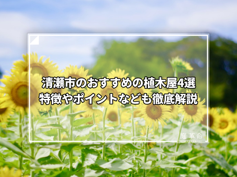 清瀬ひまわりフェスティバル