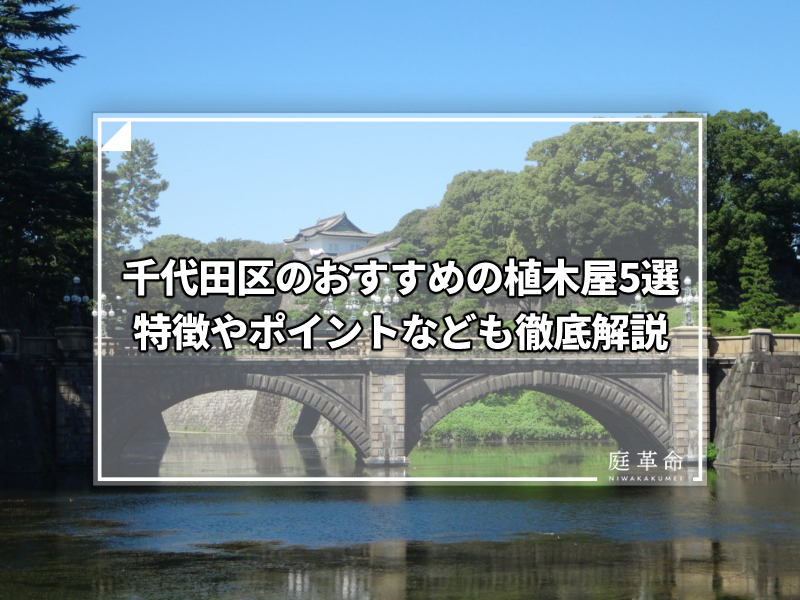 千代田区・皇居正門石橋