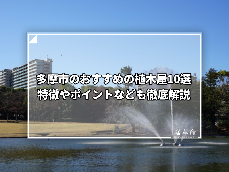 多摩中央公園の噴水