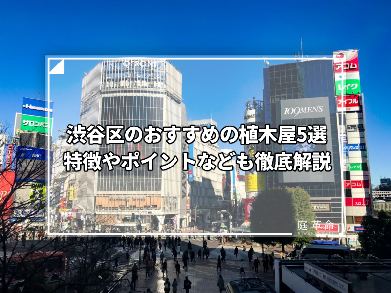 渋谷スクランブル交差点