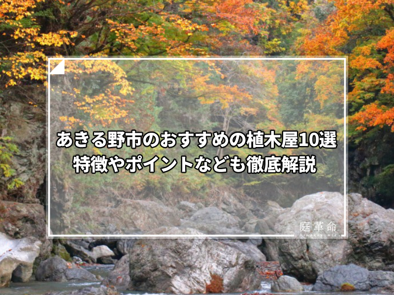 あきる野市秋川渓谷