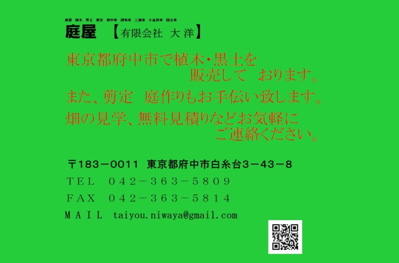 有限会社 大洋(たいよう)