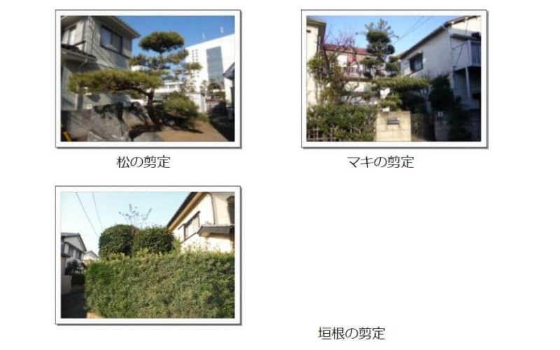 植木の剪定の施工例