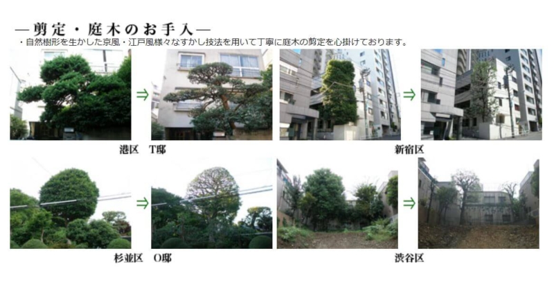 剪定・お庭のお手入れの施工事例