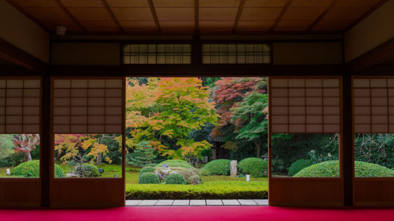 bg_img01-2-800×450 (1)