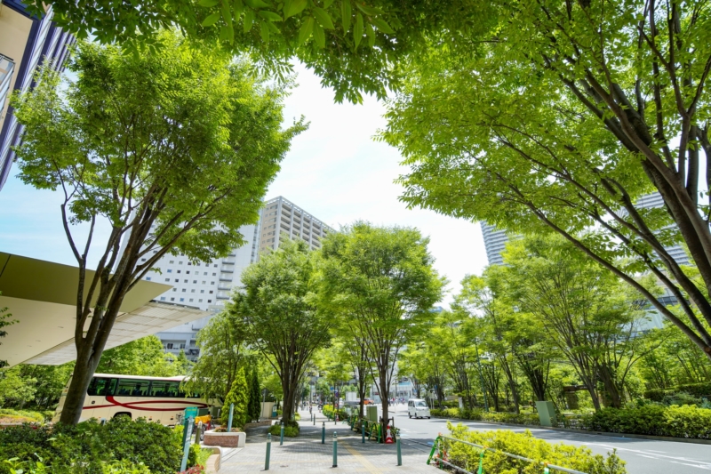 住宅街の緑とマンション