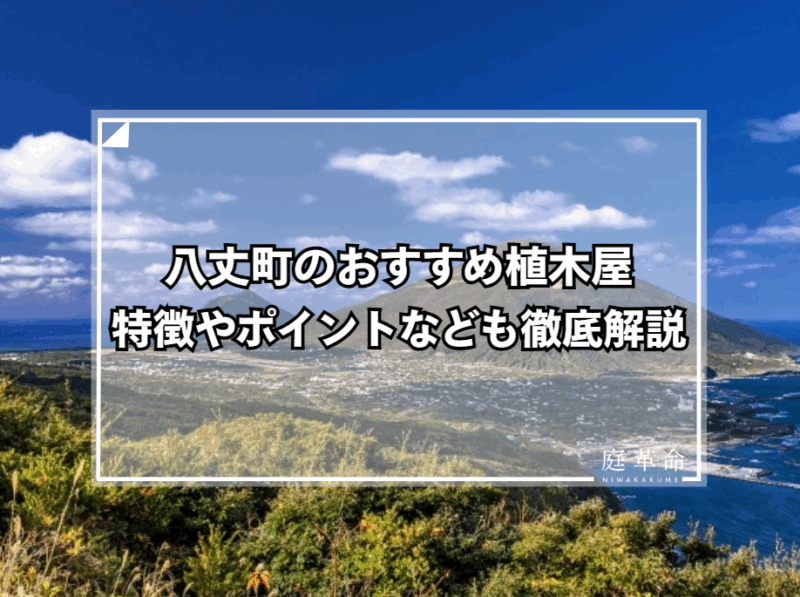 東京都八丈町 高台から眺める八丈島の風景