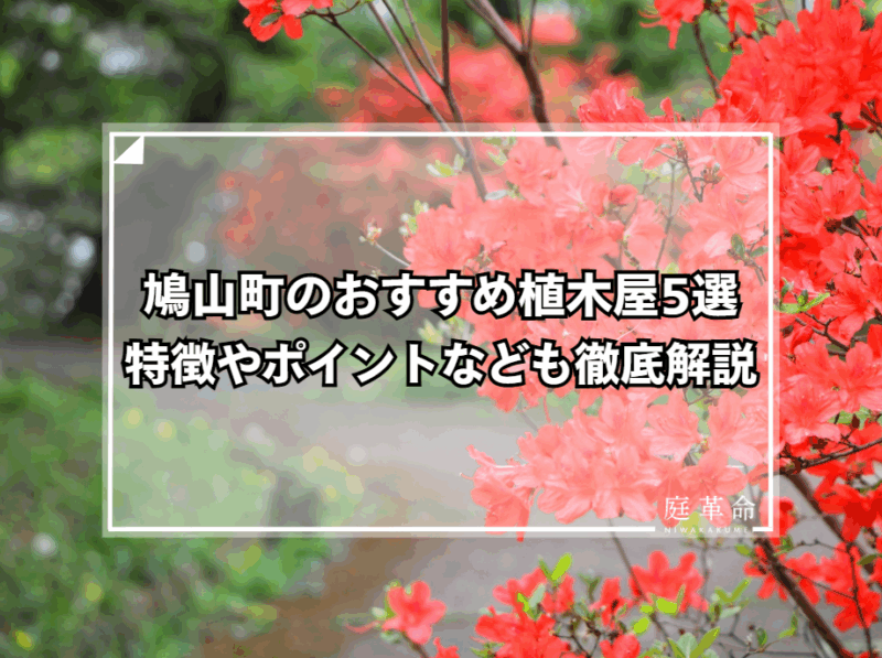 おしゃもじ山公園のつつじ（鳩山町の植木屋・造園業者紹介）