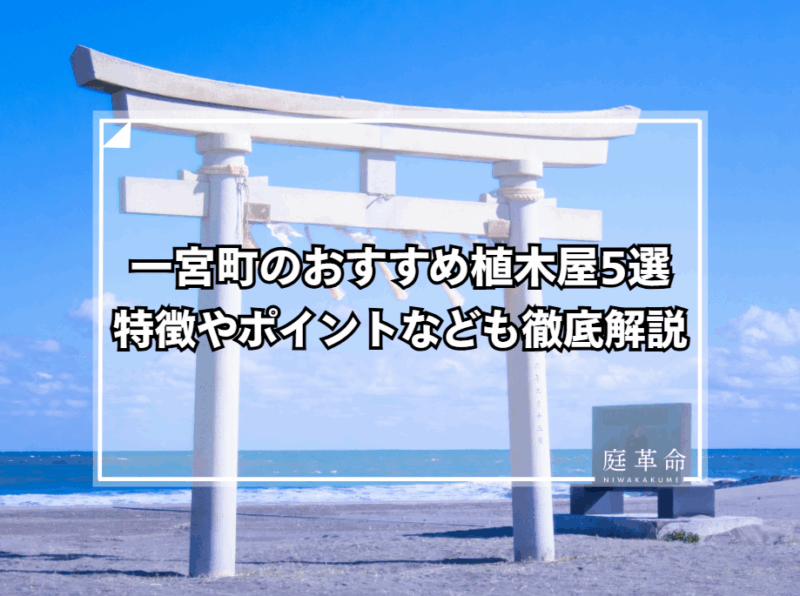 釣ヶ崎海岸の白い鳥居（一宮町の植木屋・造園業者紹介）