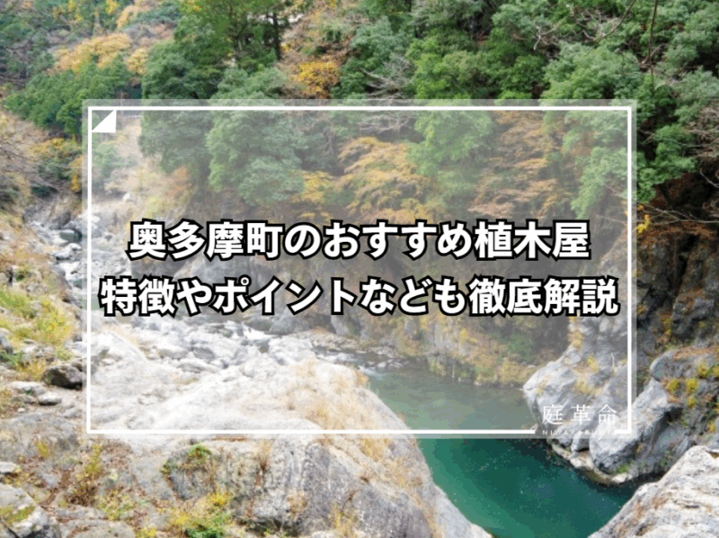 東京都奥多摩町紅葉シーズンの鳩ノ巣渓谷　