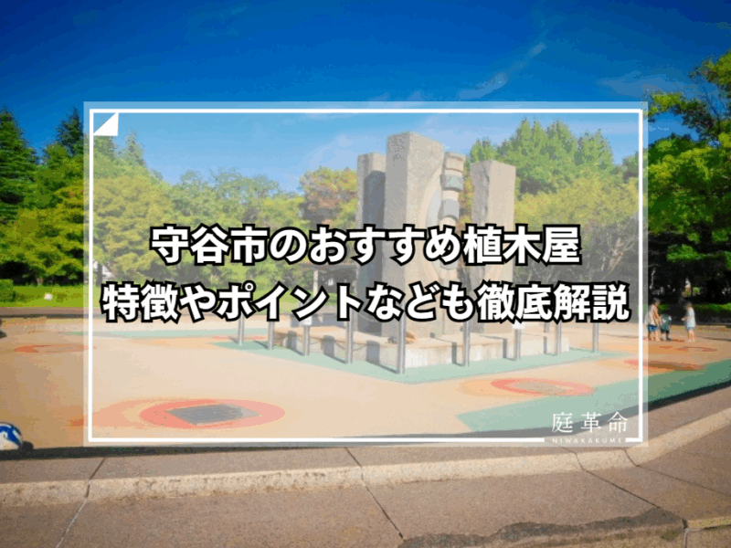 守谷市立沢公園