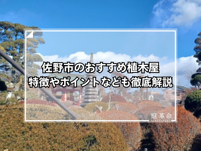 佐野厄除け大師