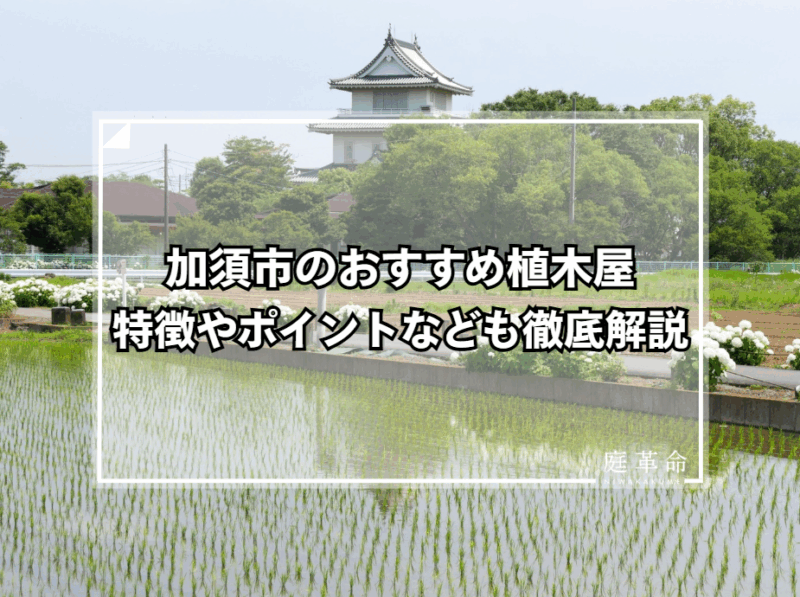 加須市のおすすめ植木屋特徴やポイントなども徹底解説