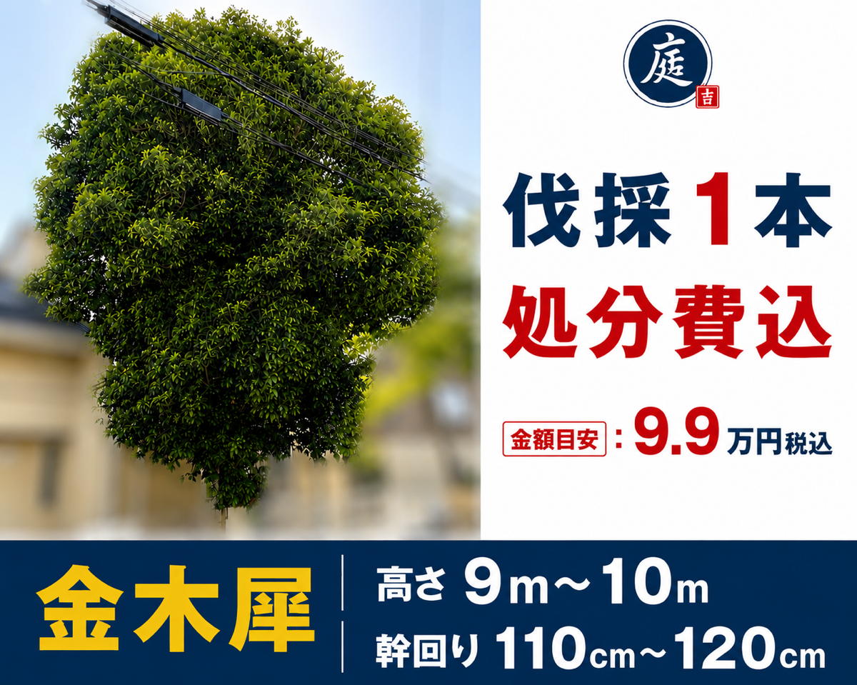 ①、伐採1本、金木犀99000円