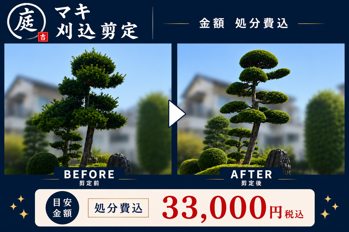 ②、刈込剪定、マキ 33000円