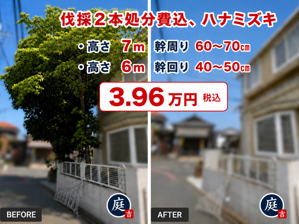 ⑤、伐採、ハナミズキ2本 39600円
