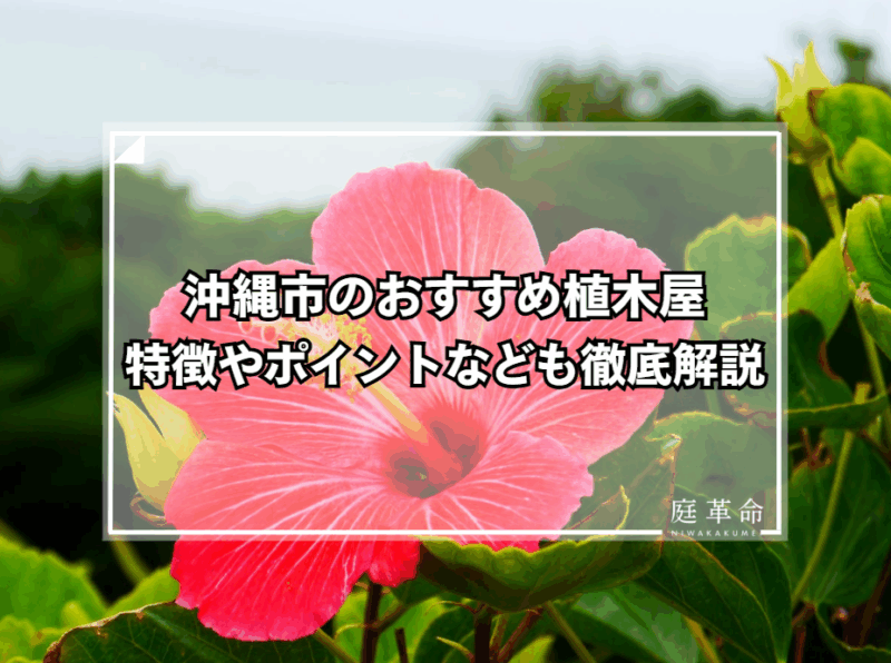 沖縄市の植木屋・造園業
