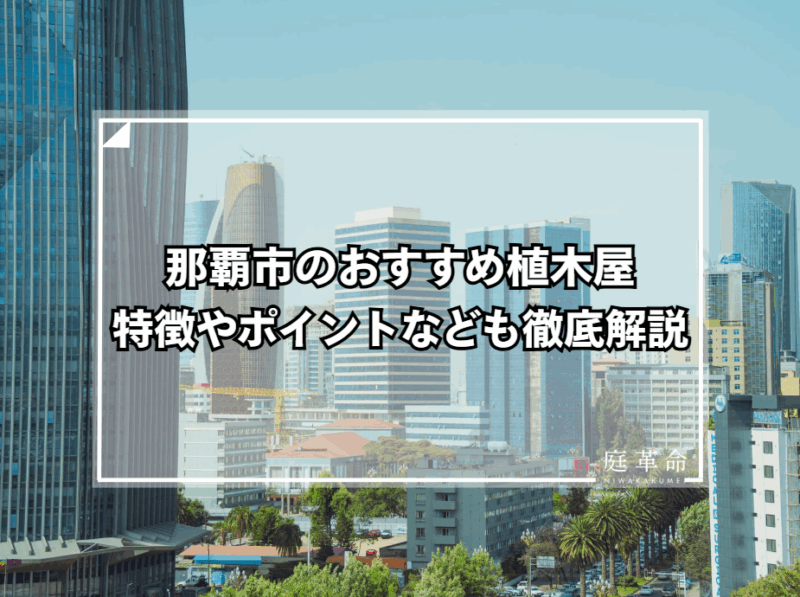 那覇市の植木屋・造園業